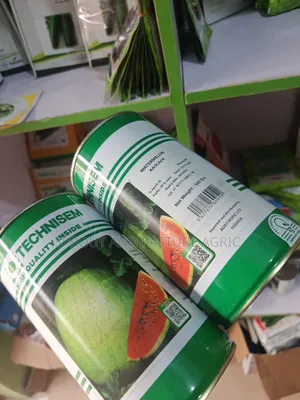 Watermelon Kaolack 500gr