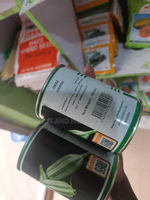 Kirikou Okro Seed 100g