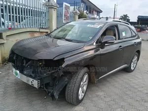 Lexus RX 2010 Gray