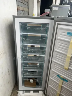 200l Upright Freezer for Ice Block