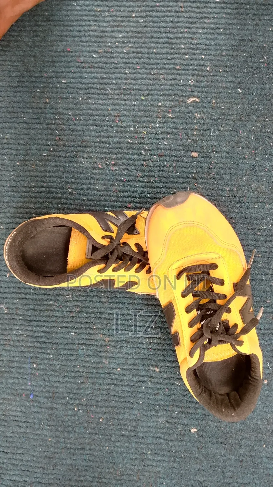 Shoe Snickers