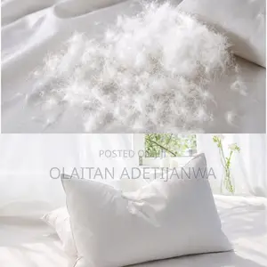 Hypoallergenic White Goose Down N Feather Soft Sleeping Pillow