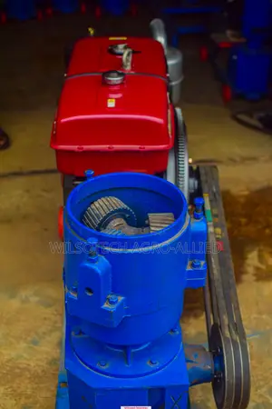 300-400kg/Hr (New Model) Diesel Engine Powered Pelletizer Machine
