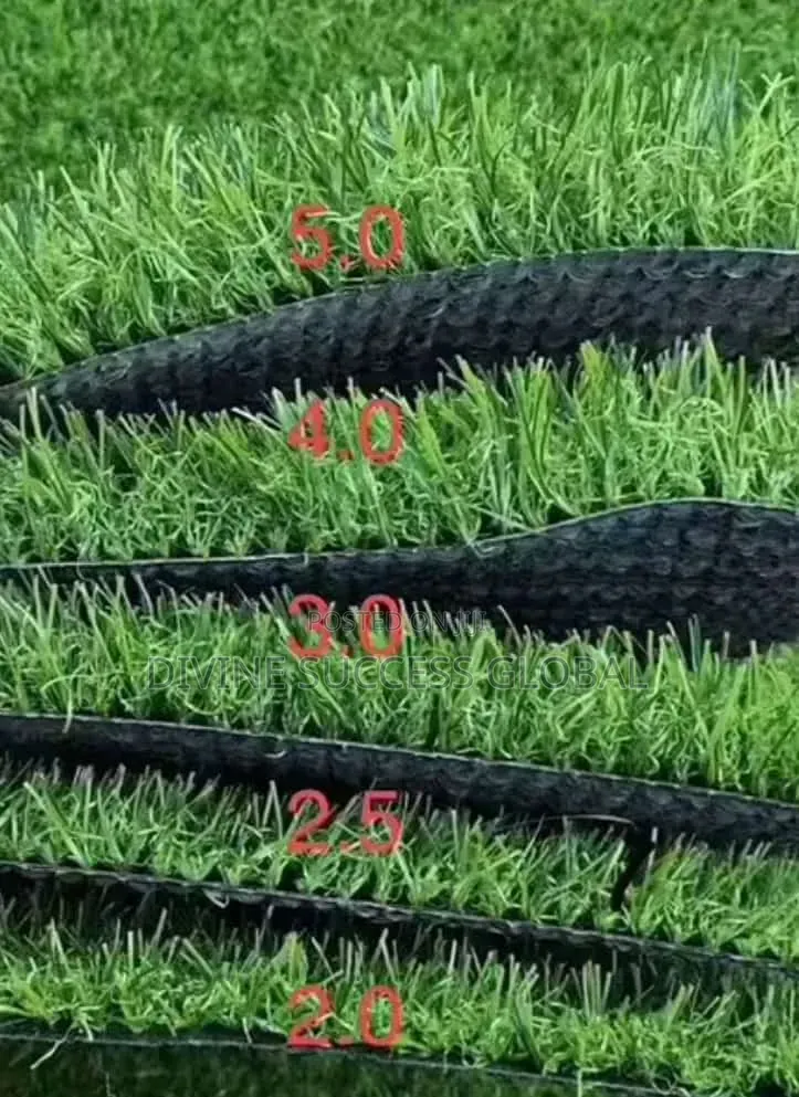 High Quality Carpet Grass