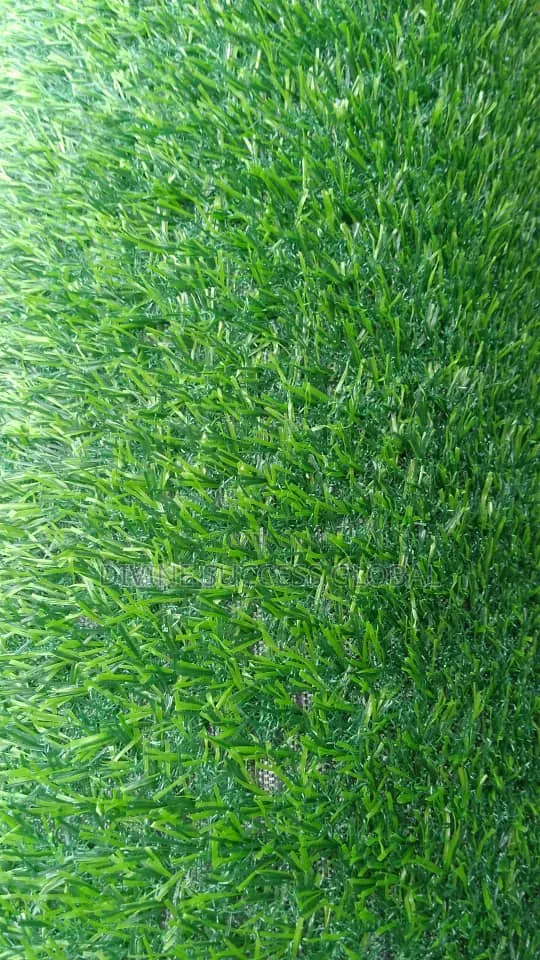 High Quality Carpet Grass