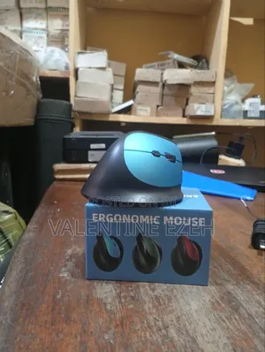 Ergonomic Mouse