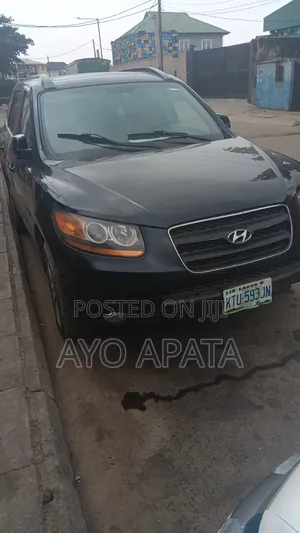 Hyundai Santa Fe 2010 Gray