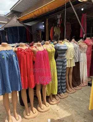 Luxury Dress