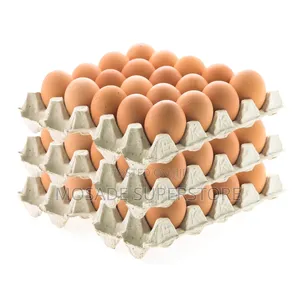 Create of Eggs