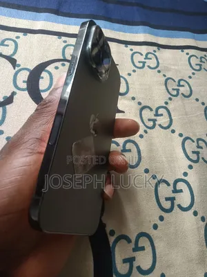 Apple iPhone 13 Pro Max 256 GB Gray