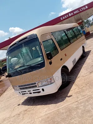 Toyota Coaster 2013 Brown