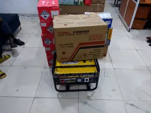 Reliable 240V Backup Power With the Firman SPG3000