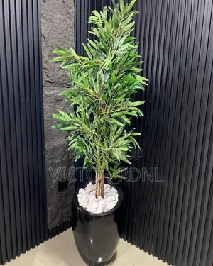 Imported Flower Pot Designs