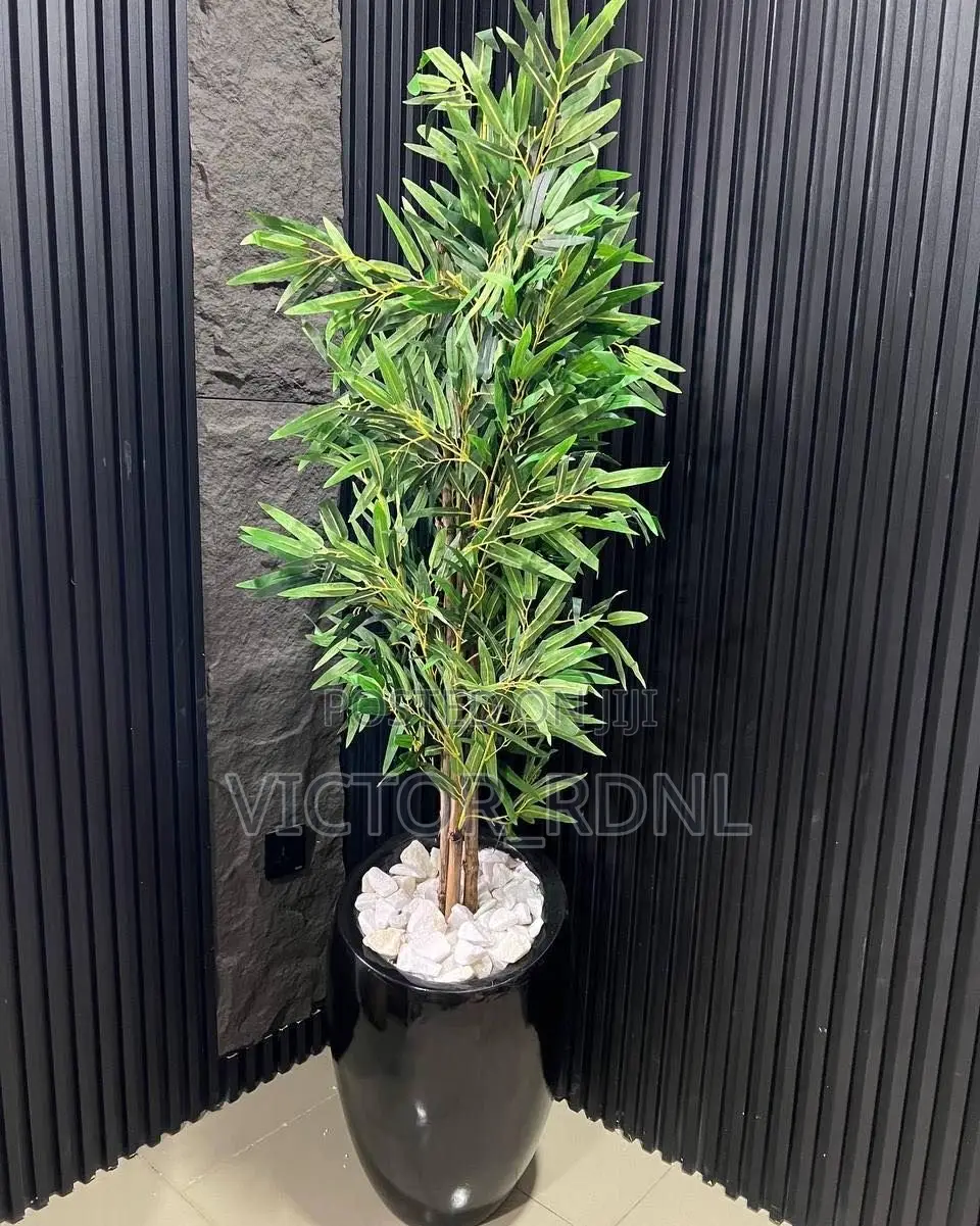 Imported Flower Pot Designs