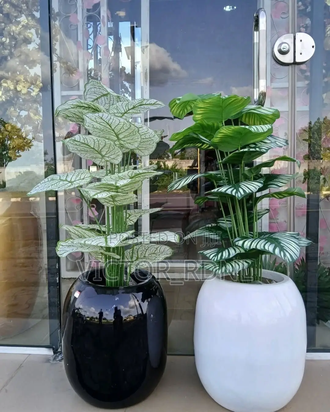 Imported Flower Pot Designs