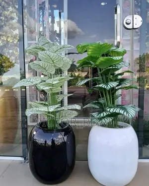 Imported Flower Pot Designs