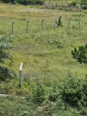 Concrete Fencing Poles
