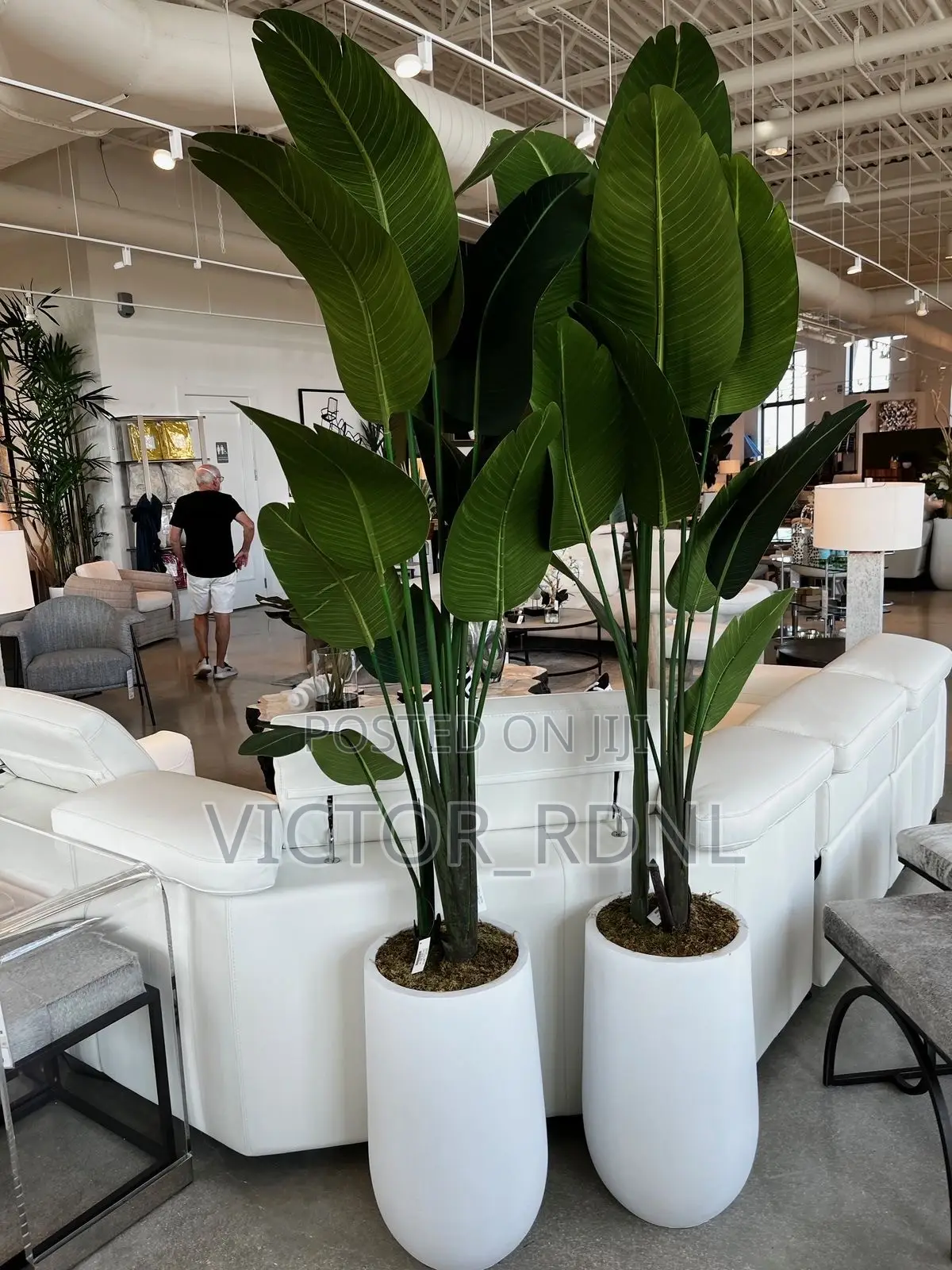 Presidential Flower Pot Designs