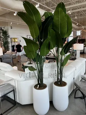 Presidential Flower Pot Designs
