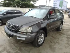 Lexus RX 2000 Gray