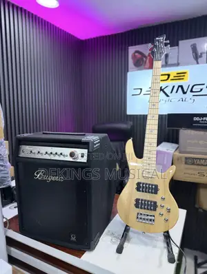 Profesional Bugeria Bass Guitar Combo BXD15