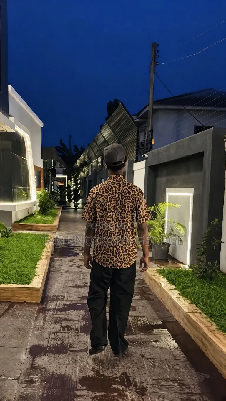 Vintage Shirts