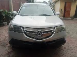 Acura MDX 2009 Silver