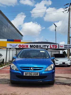 Peugeot 307 2009 Blue