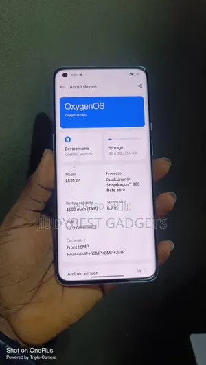 OnePlus 9 Pro 256 GB Gray