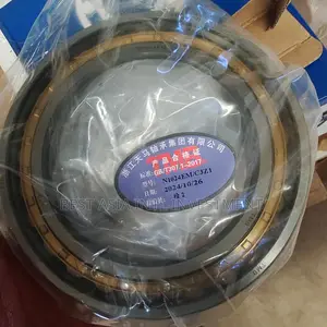 N1024em/C3z1 Single-Row Cylindrical Roller Bearing