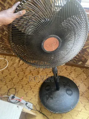 Standing Fan