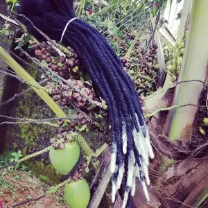Dreadlock Extensions