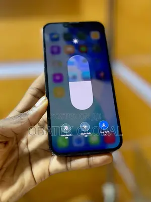 Apple iPhone 13 Pro Max 256 GB