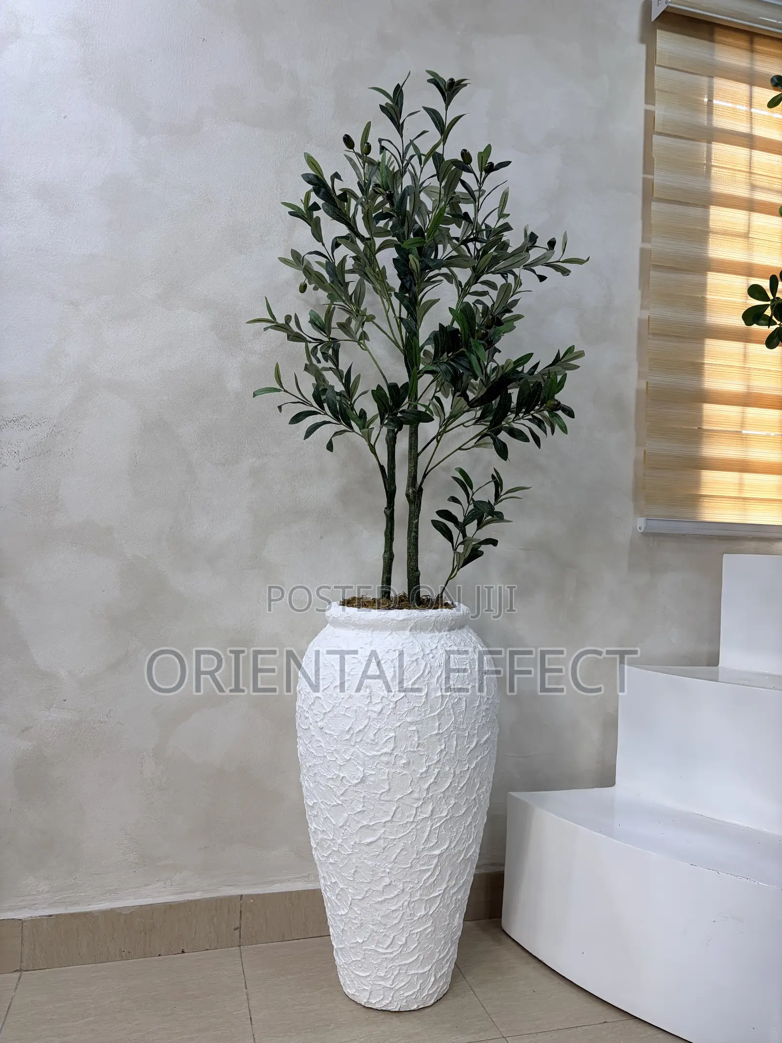 Textured White Small Nyx Pot With 150cm Artificial Twisted Olive Tree