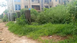 Landed Property for Sale ( Native )