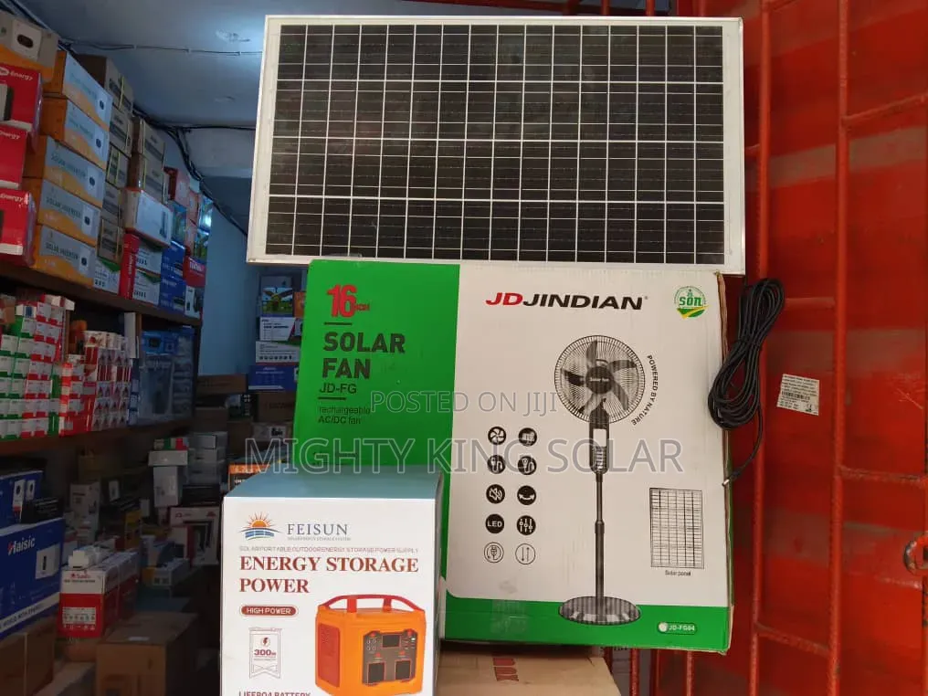 300w Complet Solar Generator With Fan