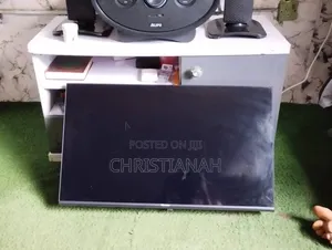Television