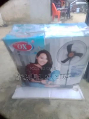 Standing Fan