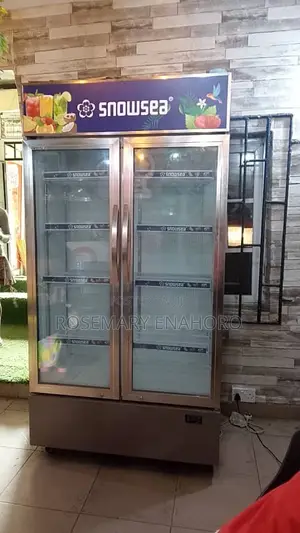 Snow Sea Double Door Chiller