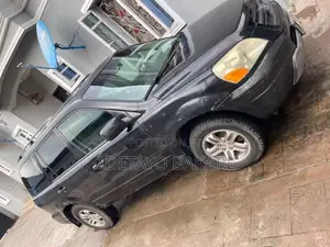 Honda Pilot 2004 Gray