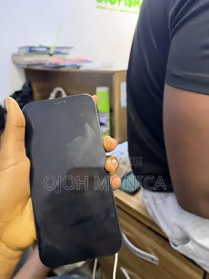 Apple iPhone 12 Pro Max 256 GB Blue