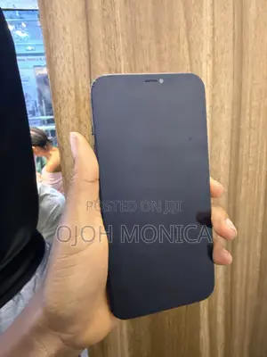Apple iPhone 12 Pro Max 256 GB Black