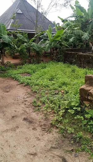 4 Bedroom Uncompleted Building on Half Plot of Land