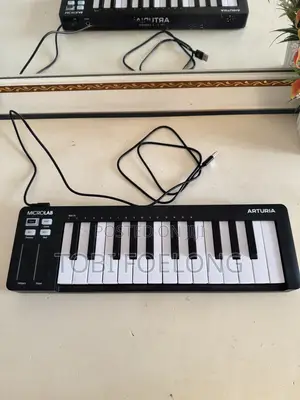 Arturia Microlab 3
