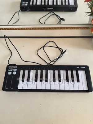 Arturia Microlab 3