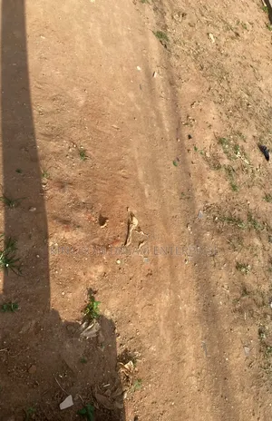 CofO COMMERCIAL LAND FOR SALE | at KATAMPE Main 1 Hectare Corner Piece