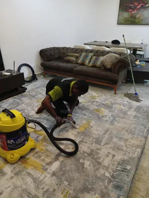 Leather /Fabrics Sofa Cleaning