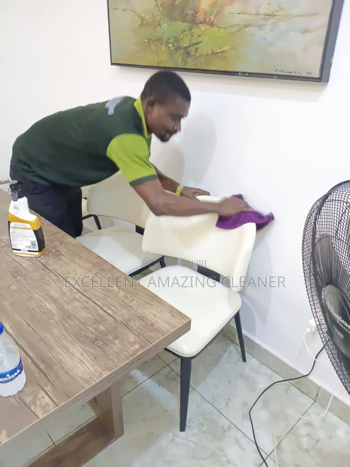 Leather /Fabrics Sofa Cleaning