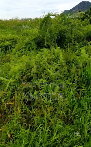 1.5plot Ogombo With Global CofO