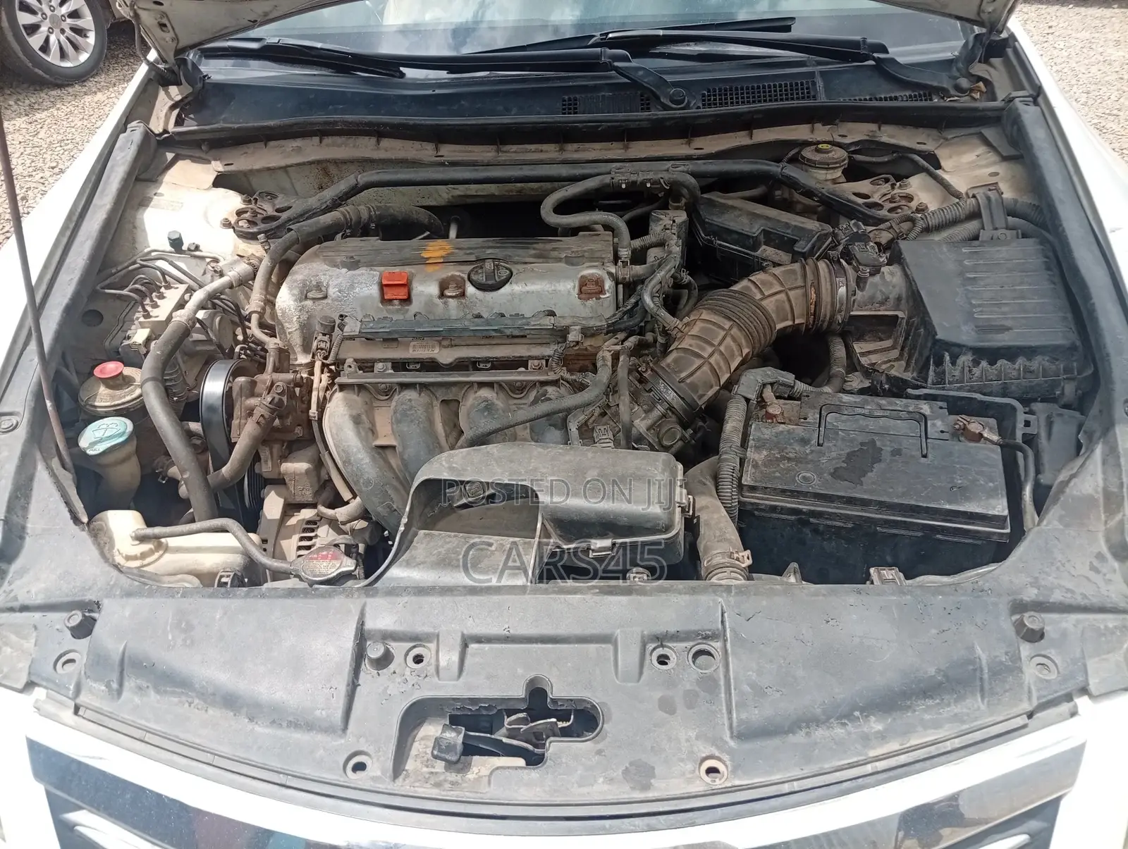 Honda Accord 2011 White